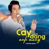 About Cay Đắng Anh Mang Song