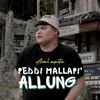 Peddi Mallapi Allung