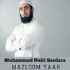 About Muhammad Nabi Sardara Song