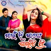 About Main Jhi Sange Saliti Free Song