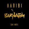 About Habibi Song