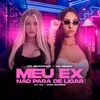 About Meu Ex Não Para De Ligar Song