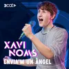 About Envia'm un àngel Song