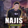 Najis