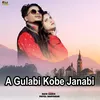 About A GULABI KABE JANABI Song