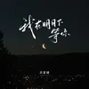 About 我在明月下等你 Song