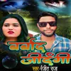 About Barbad Zindgi Song