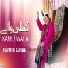 About Kamli Wala Song