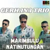 About Marimbulu Natinutungan Song