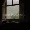 About Seni Unutamadım Song