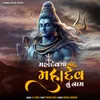 About Mahadev thi motu mahadev nu nam Song