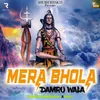 About Mera Bhola Damru Wala Song