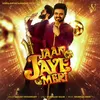 About Jaan Jaye Meri Song
