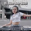 About Dj Dum Dee Dum Song