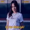 About DJ Sri Minggat SLow Remix - Inst Song