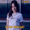 About DJ Sri Minggat SLow Remix Song