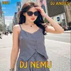 About DJ Nemu SLow Remix - Inst Song