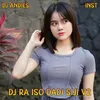 About DJ Ra Iso Dadi Siji V2 - Inst Song