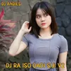 DJ Ra Iso Dadi Siji, Vol. 2