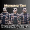 About Tarombo Ni Raja Parapat Song