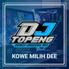 About Kowe Milih De E Slow - Ins Song