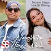 About Nangka Tua/Lingga Muda Song