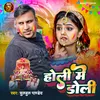 About Holi Me Doli Song