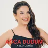 About Ağca Dudum Song