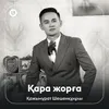 About Қара жорға Song