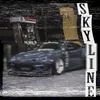 About Skyline Song