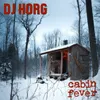 About Cabin fever Song