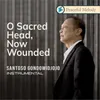 About O Sacred Head, Now Wounded Song