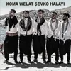 About Şevko Halayı Song