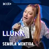 About Sembla mentida Song