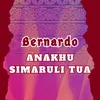 Anakhu Simaruli Tua