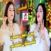 About Bin Zaalon San Ghar Kon Halandi Song