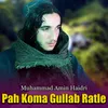 About Pah Koma Gullab Ratle Song