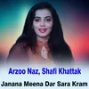 About Janana Meena Dar Sara Kram Song