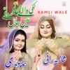 About Kamli Wale Song