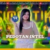 Pedotan Intel