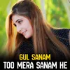 About Too Mera Sanam He Song