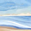 About Forever Summer Song