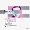 About Zendegi Kardam Toro Song