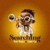 About Searching Song