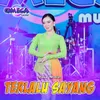 About Terlalu Sayang Song