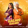 About Gori Vi Halwe Halwe Chal Song