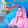 About Allah Meda Sohran Hai Song