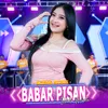 About Babar Pisan Song