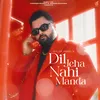 About Dil Jeha Nahi Manda Song