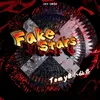 About Fake Stars Song
